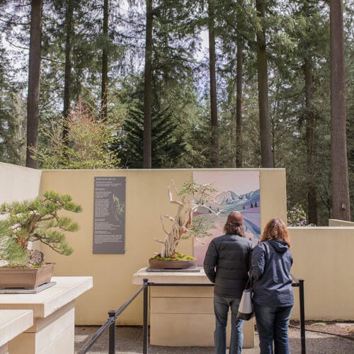 Pacific Bonsai Museum
