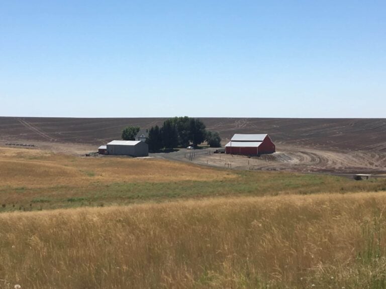 barn in field of grass