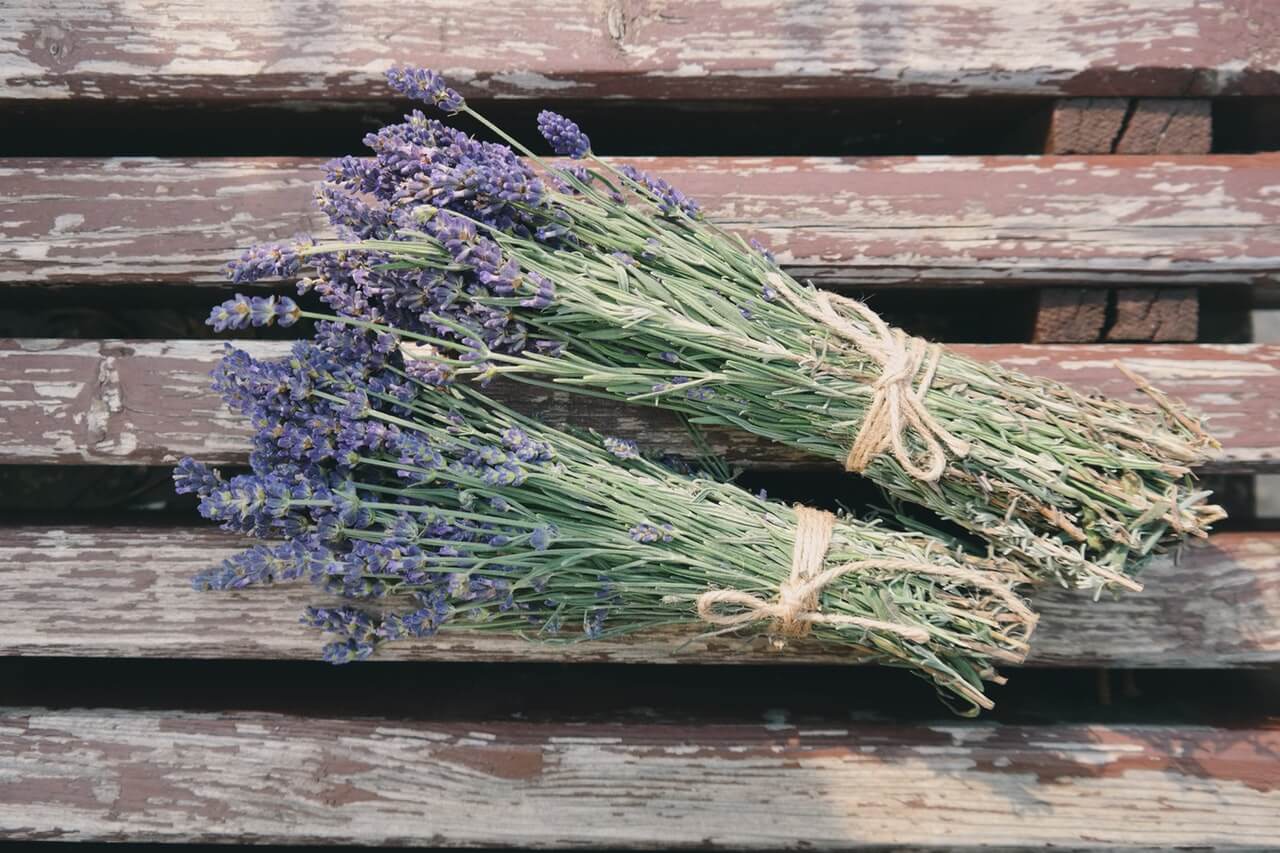 dried lavender
