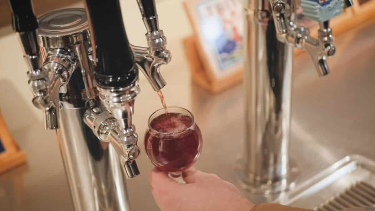 Steelhead Cider Pouring Cider