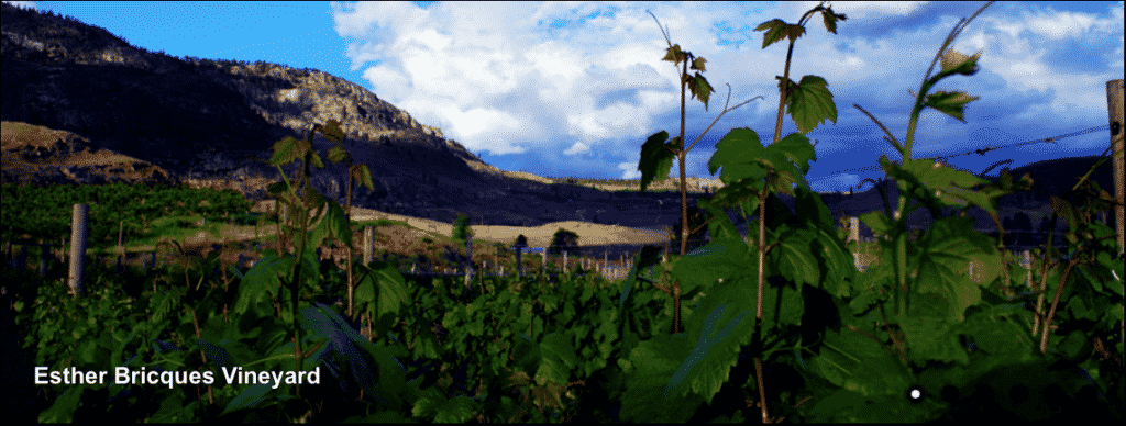 Esther Bricques Winery in Omak