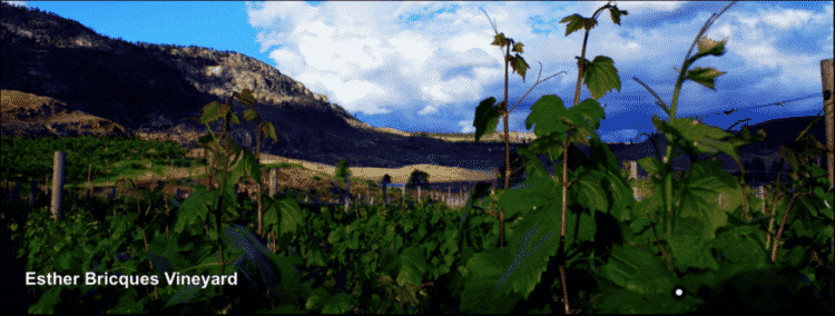 Esther Bricques Winery in Omak