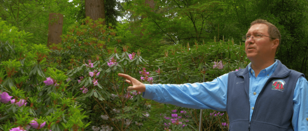 Steve Hootman - Rhody Garden Federal Way
