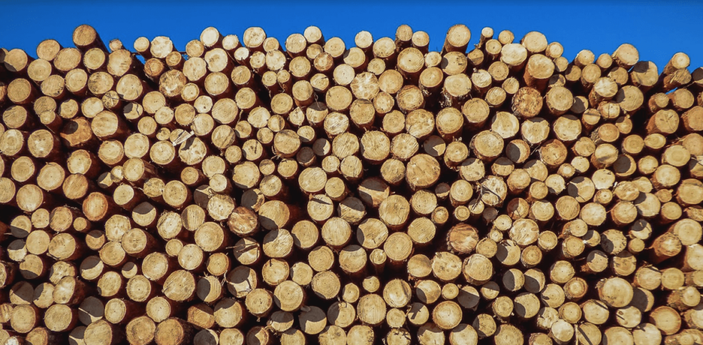 cut logs of wood port angeles wa
