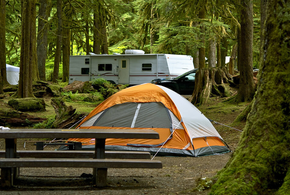 tent and RV in the woods