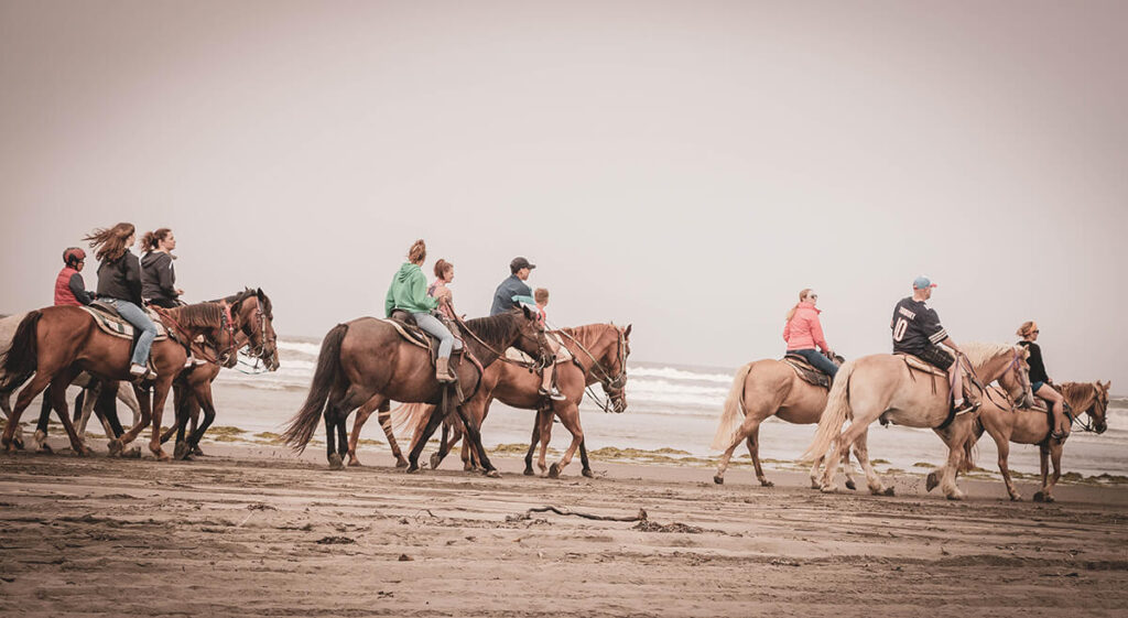Horses in Ocean Shores