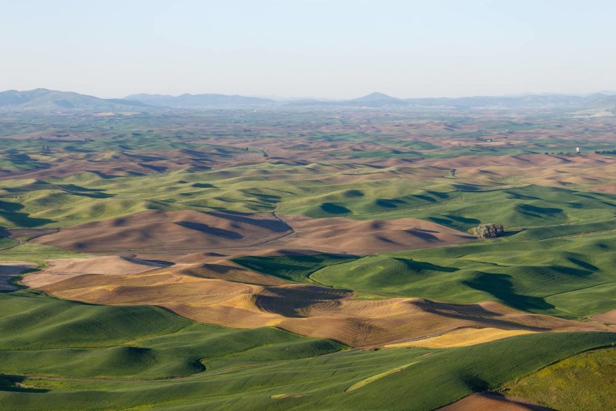 Visit the Palouse in Eastern Washington