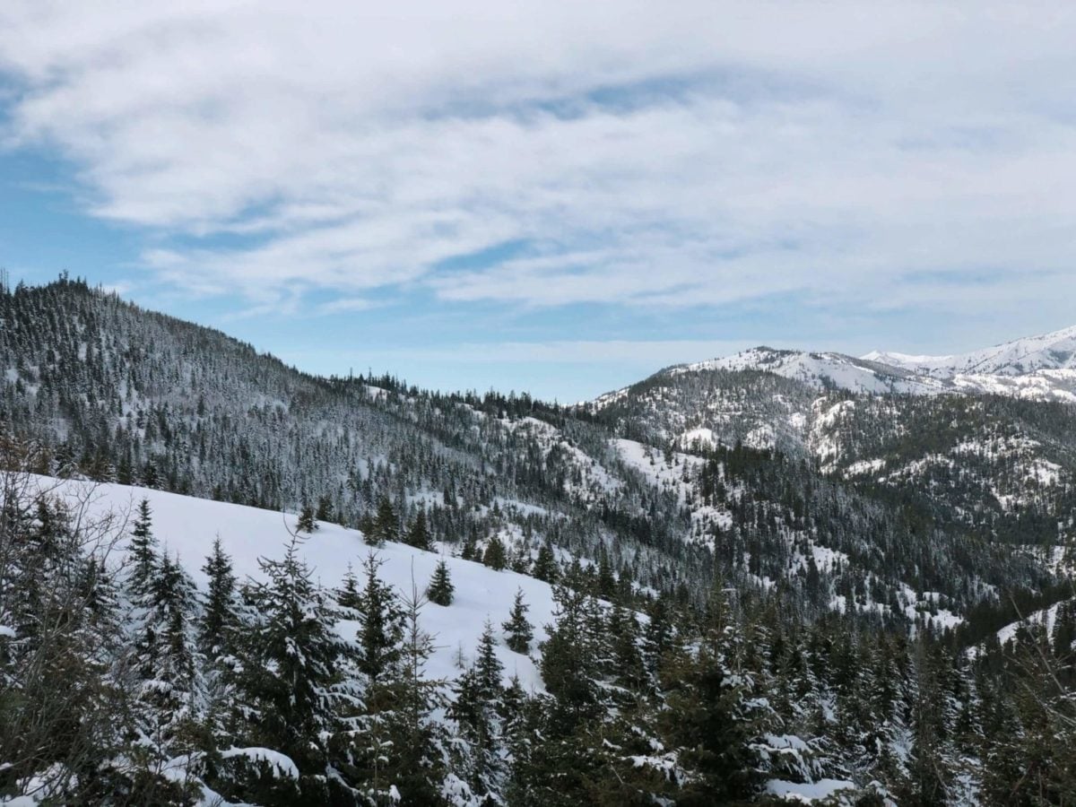 Snowy forested ridges seen from the Wenatchee Crest in winter