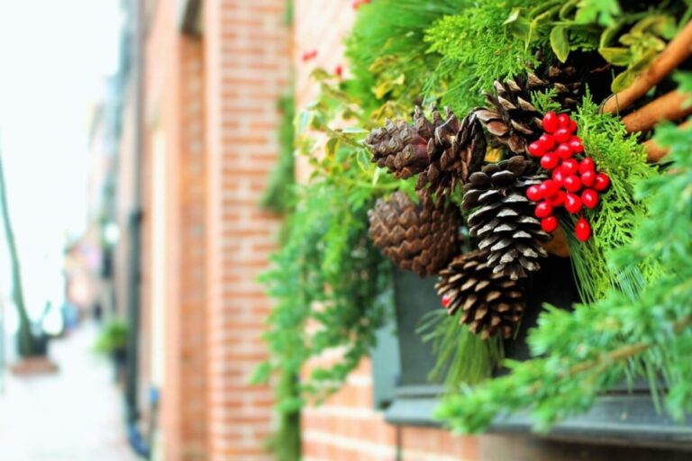 Celebrating Christmas in Tri-Cities