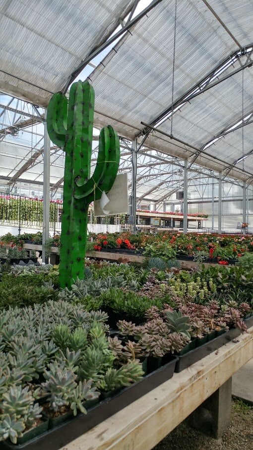 greenhouse