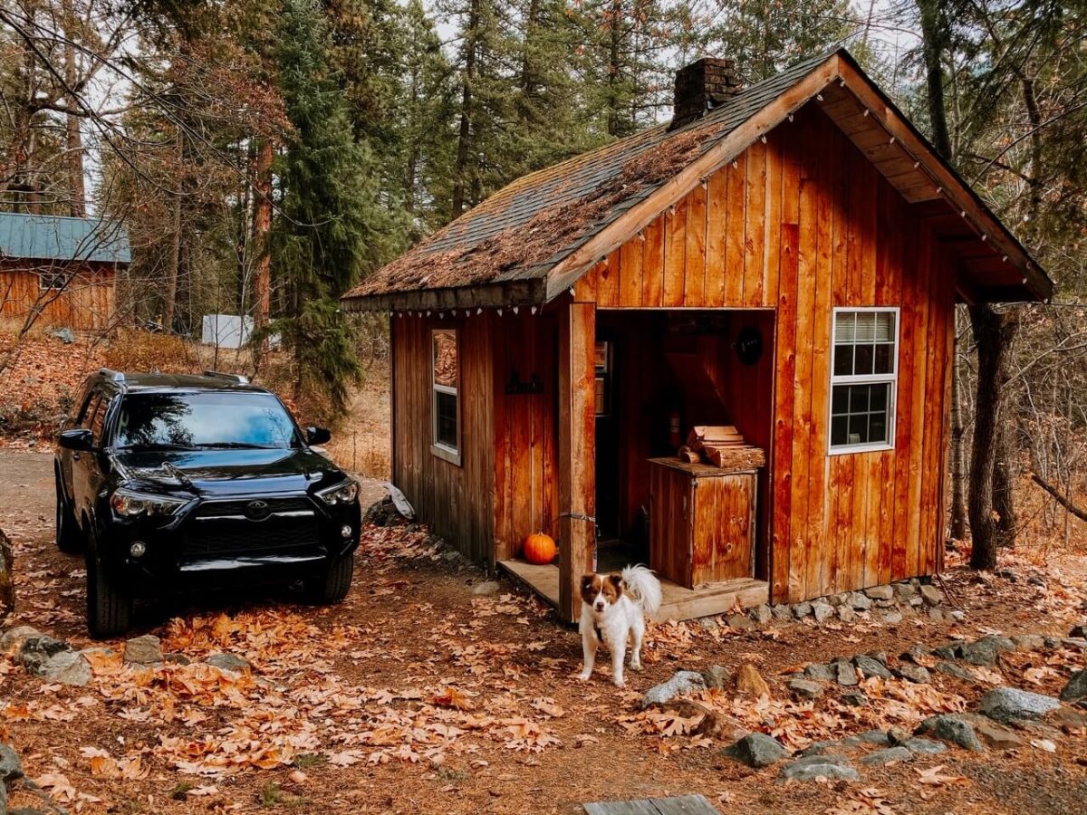 cabin