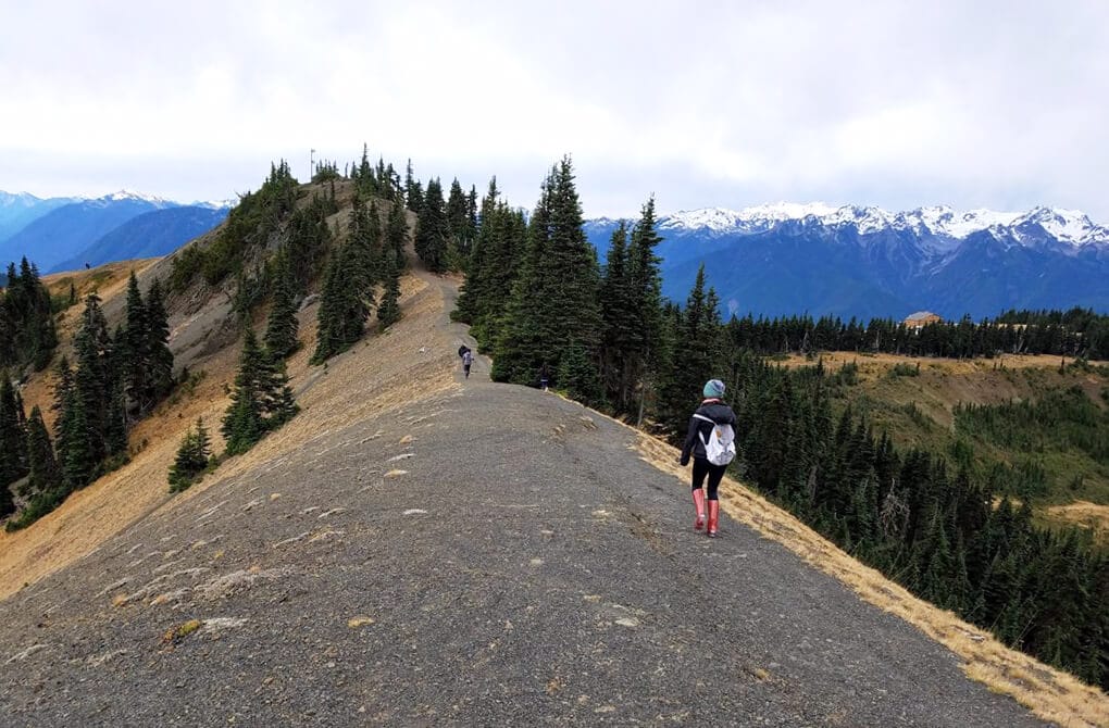 Hurricane Ridge