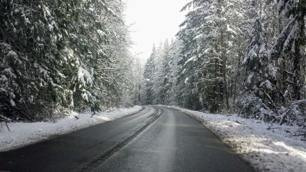 Mount Baker Highway with snow on the trees