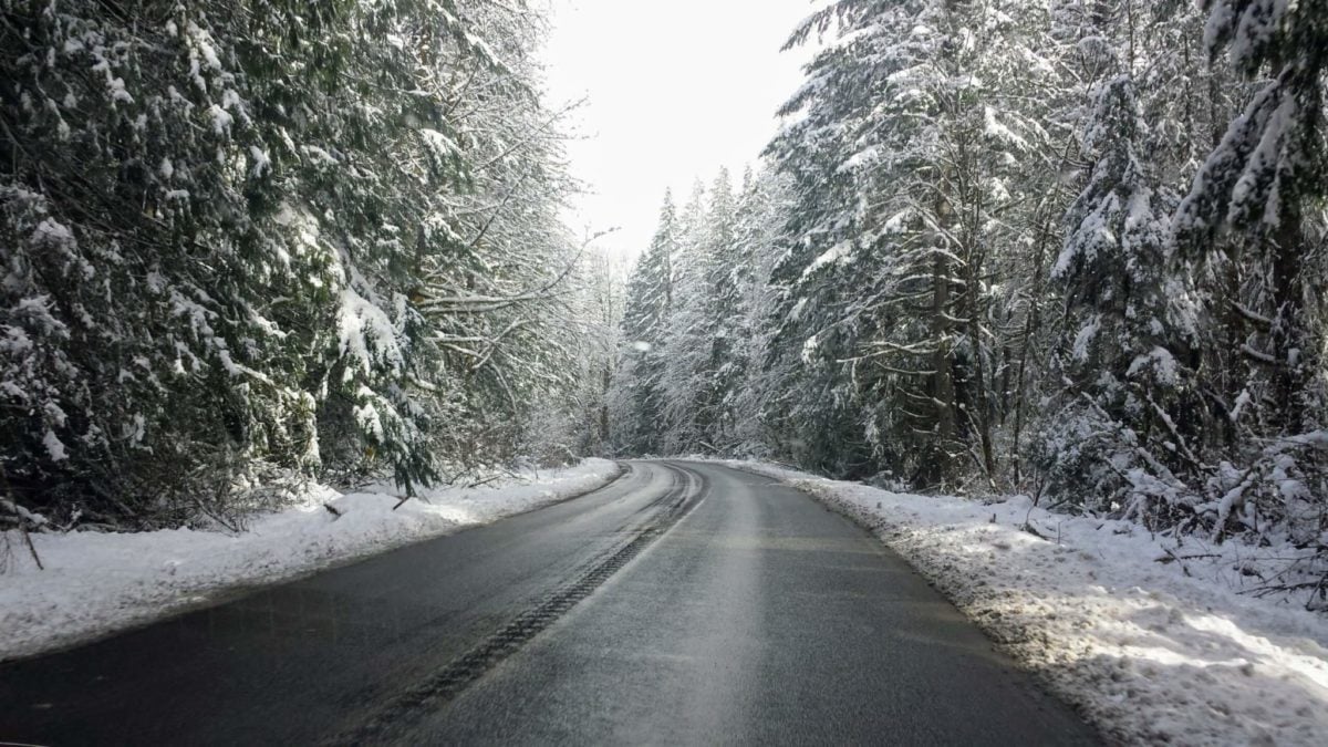 Mount Baker Highway with snow on the trees