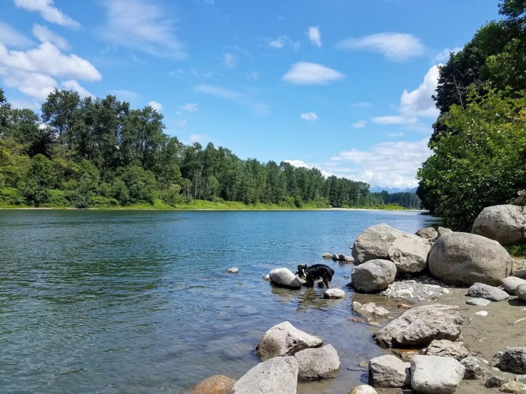 Skykomish River near Monroe Washington