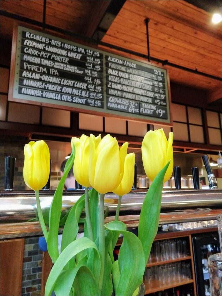 tulip