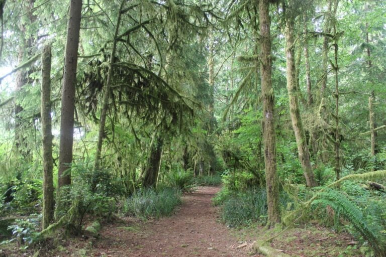 Ocean Shores Weatherwax Trail