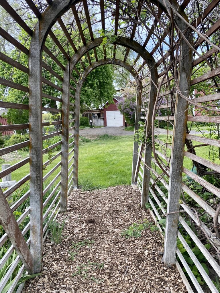 Wooden trellis at Olmstead Place