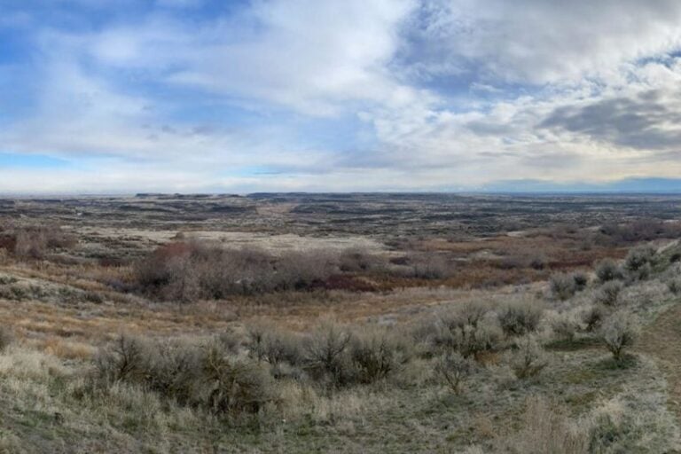 Visiting Othello for the Sandhill Crane Festival 2026