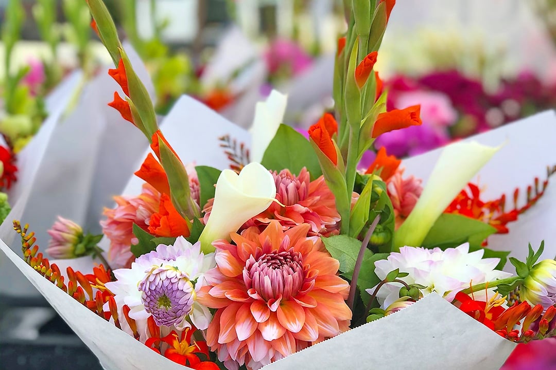 Bouquet of flowers