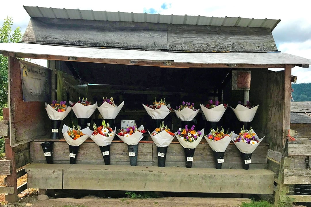 Farm Stands and Valley Drives