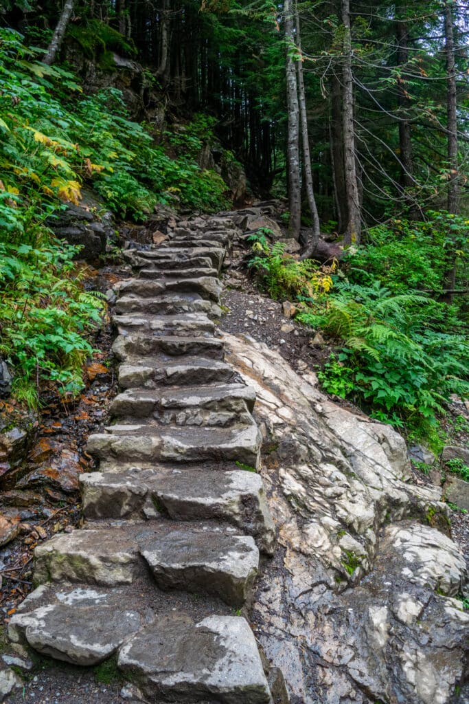 Rock Steps up hill to Franklin Falls