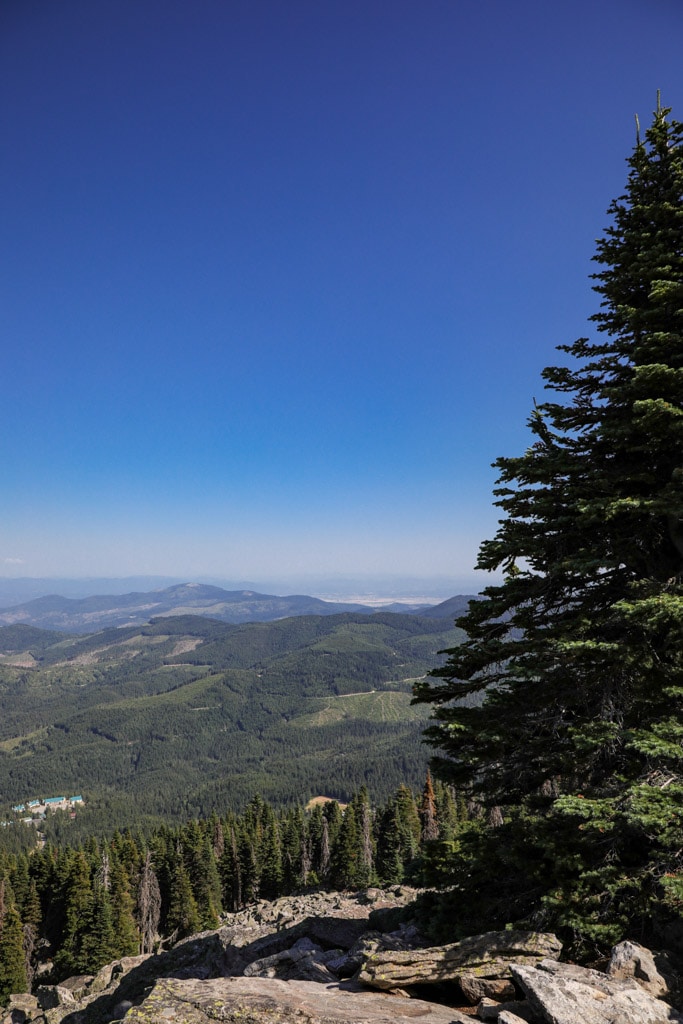 Mt. Spokane view