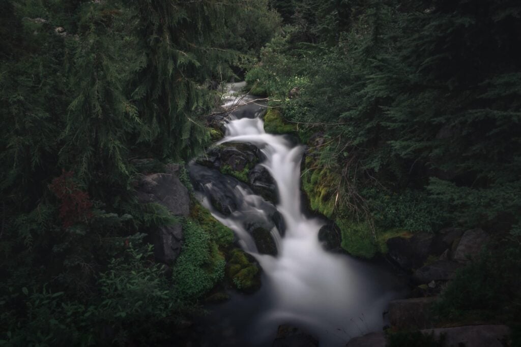 A waterfall running full through mossy rock on the Skyline Trail at Mount Rainier