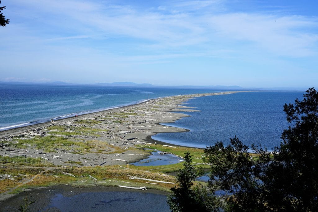Dungeness Spit