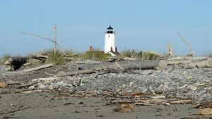 New Dungeness Light Station with beach wood