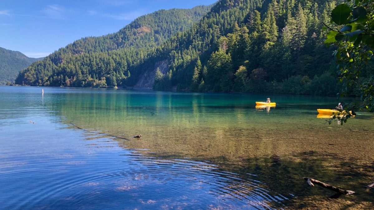 kayakers on lake crescent
