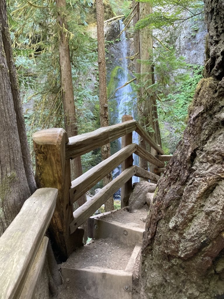 trail to marymere falls