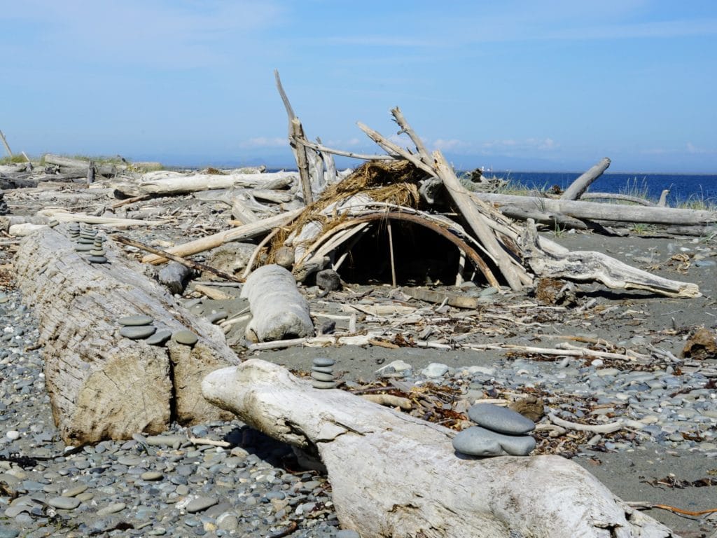 wood cave at Dungeness Spit