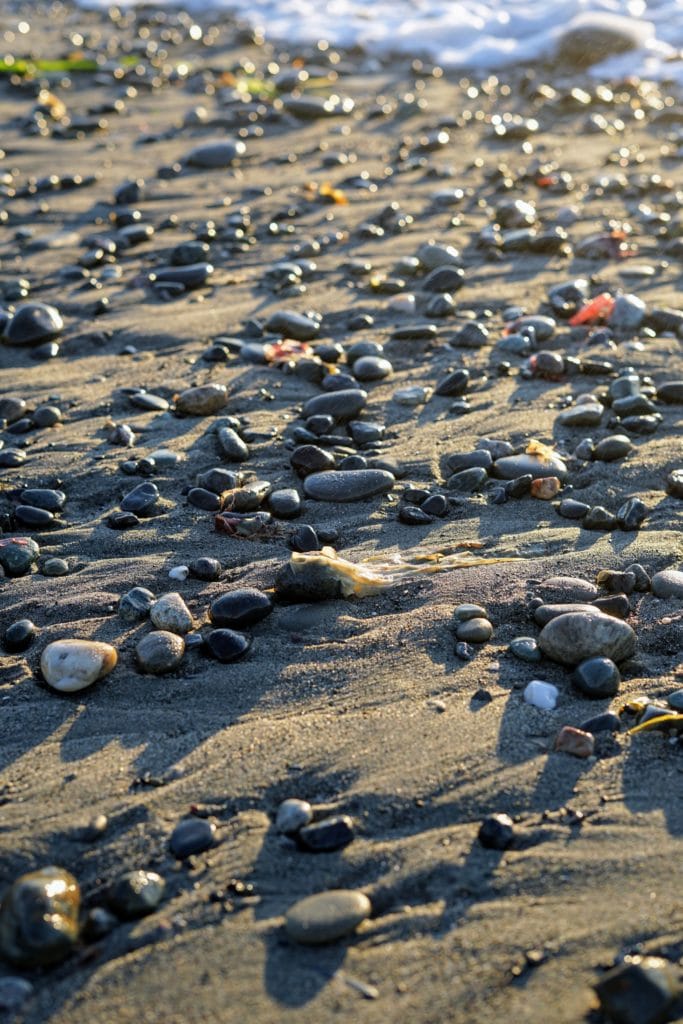 Dungeness Spit rocks on beach