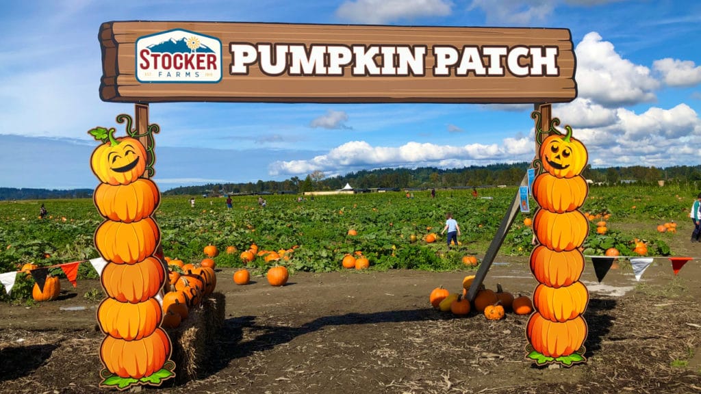 stocker farms pumpkin patch