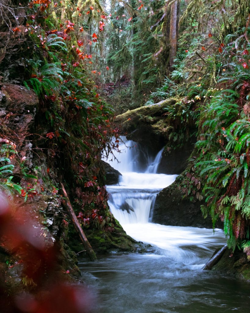 willaby creek falls at quinault
