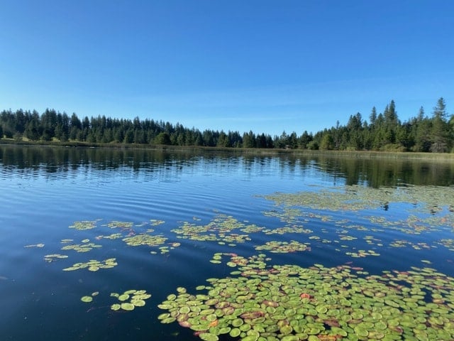 Top 5 Lakes to Paddle in Spokane lake