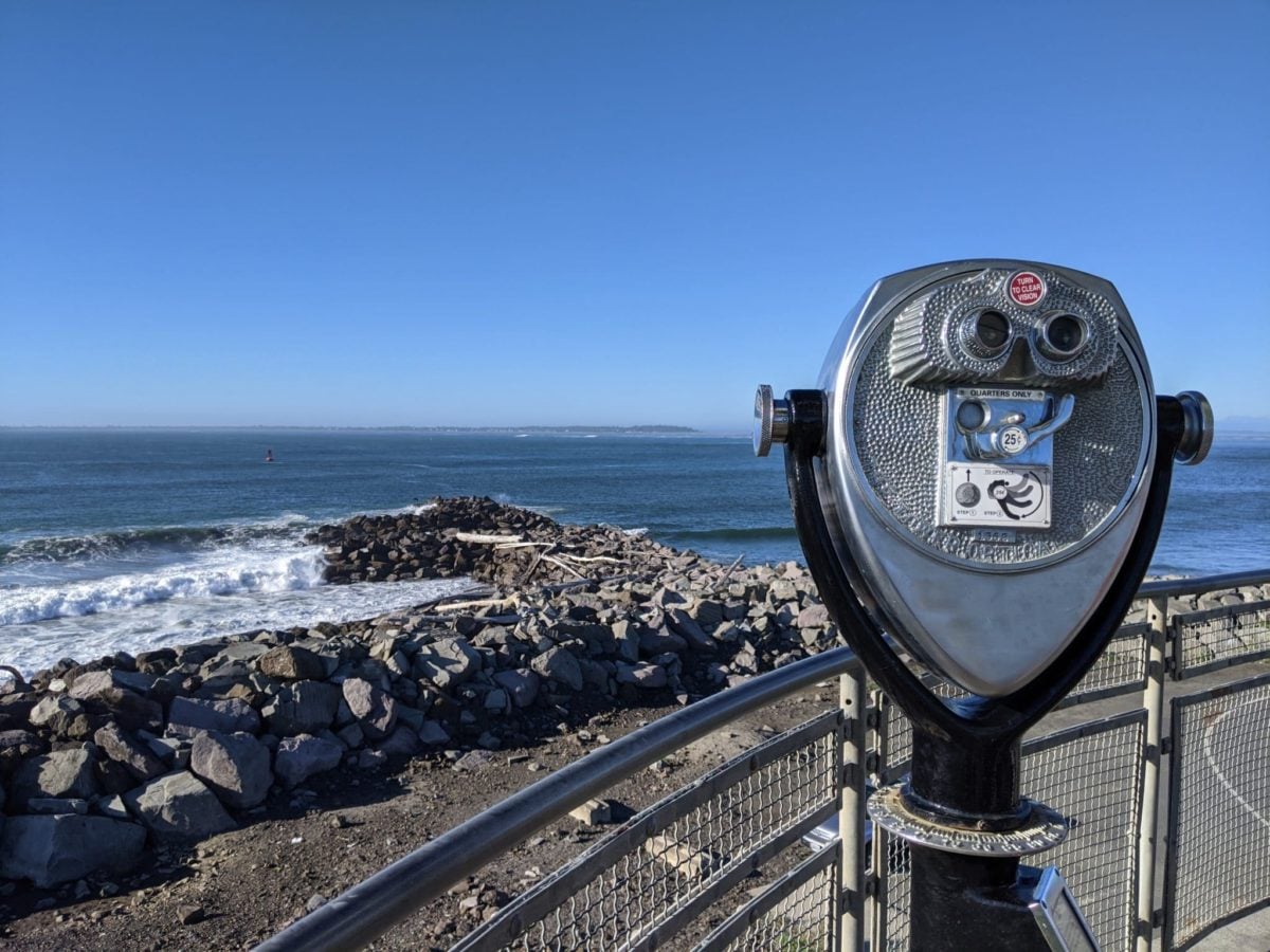 ocean views from westport viewing tower