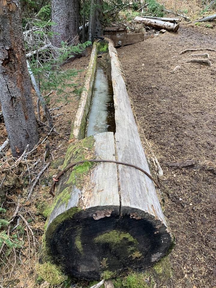 water trough log at oregon butte