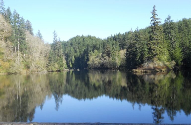 Lake Sylvia, Six 'Fido Friendly' Walks in Grays Harbor