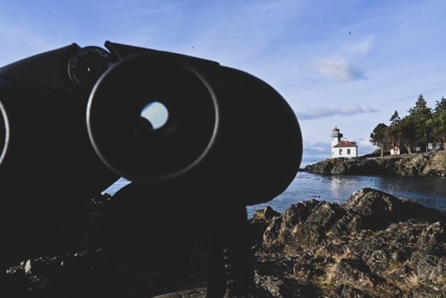 whale watching at lime kiln point