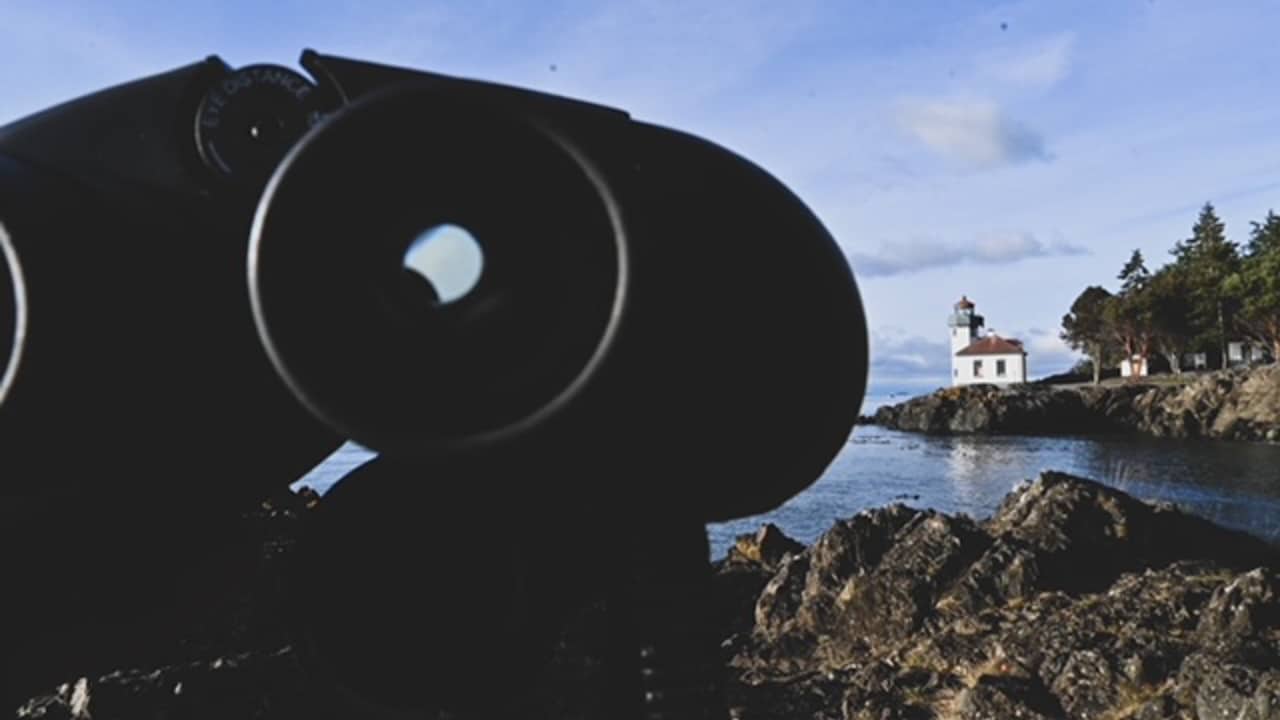 whale watching in the san juan islands