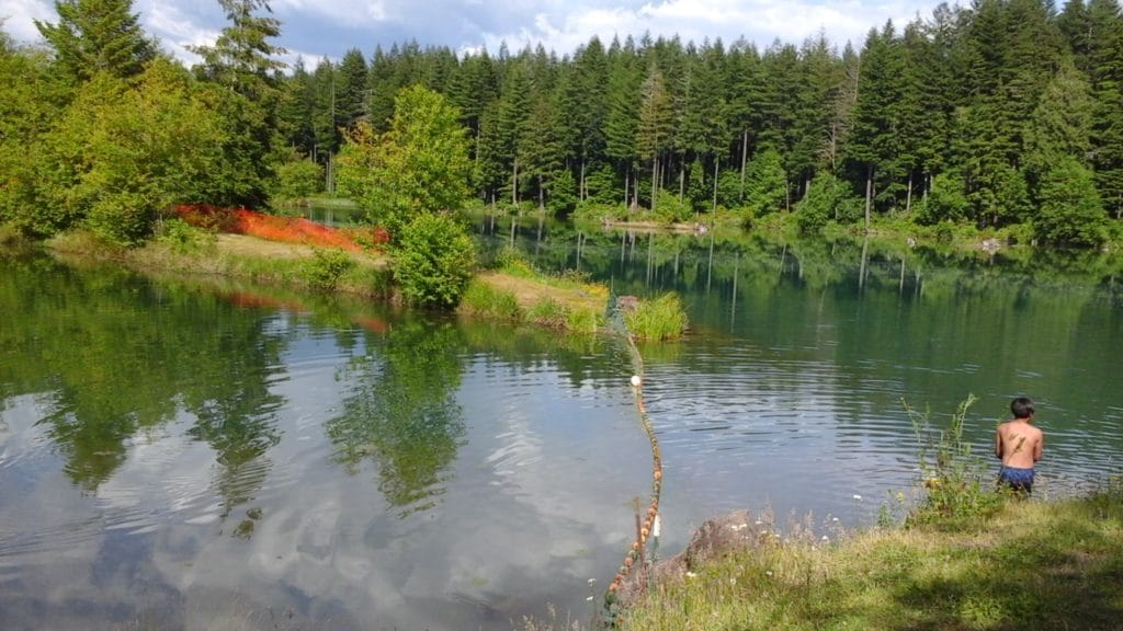 Cowlitz Falls swimming hole in East Lewis County