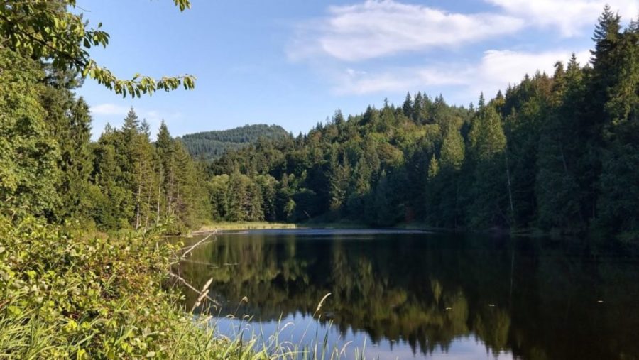 squires lake in Alger