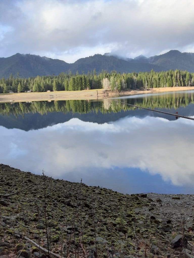 Wynoochee Lake swimming area
