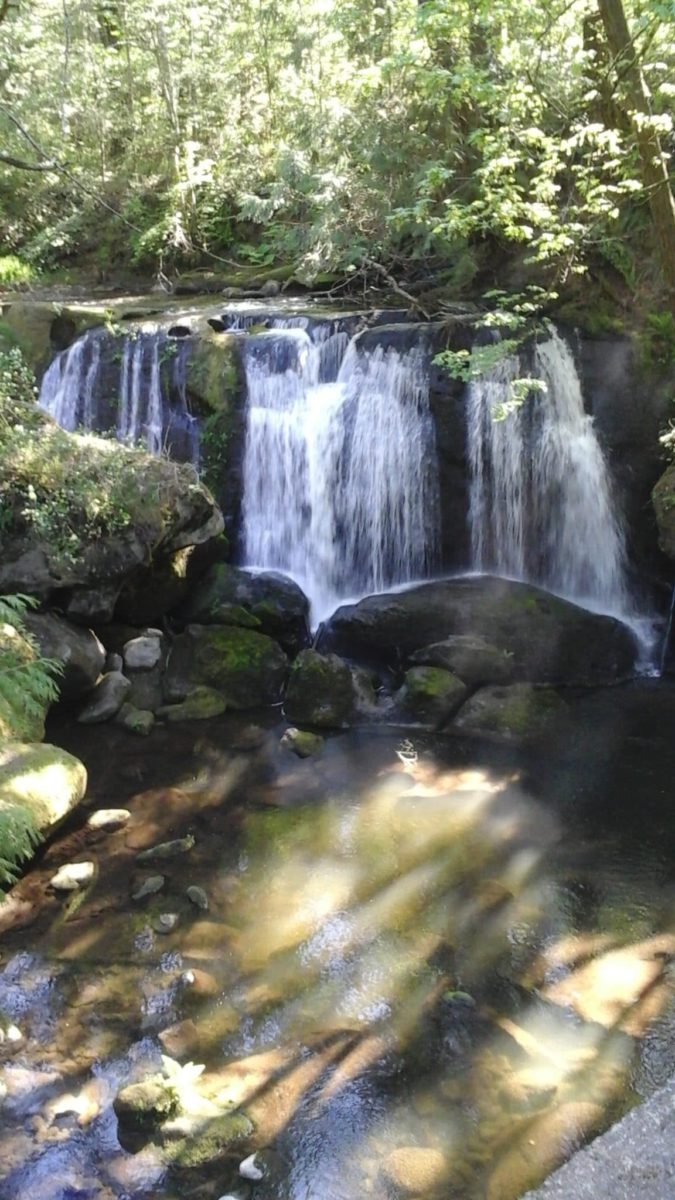 Whatcom Falls Park