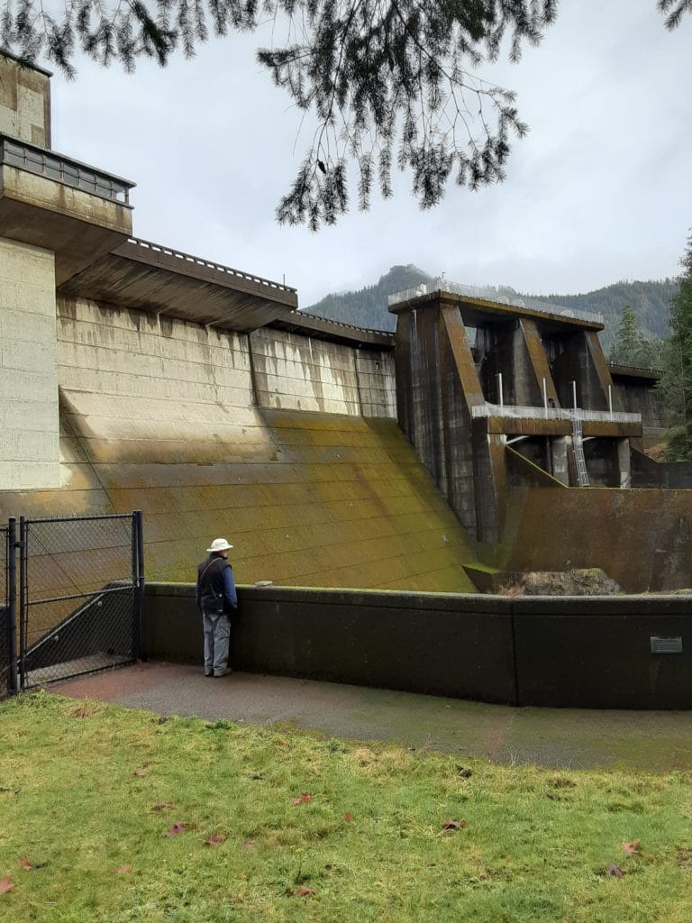 Wynoochee Dam