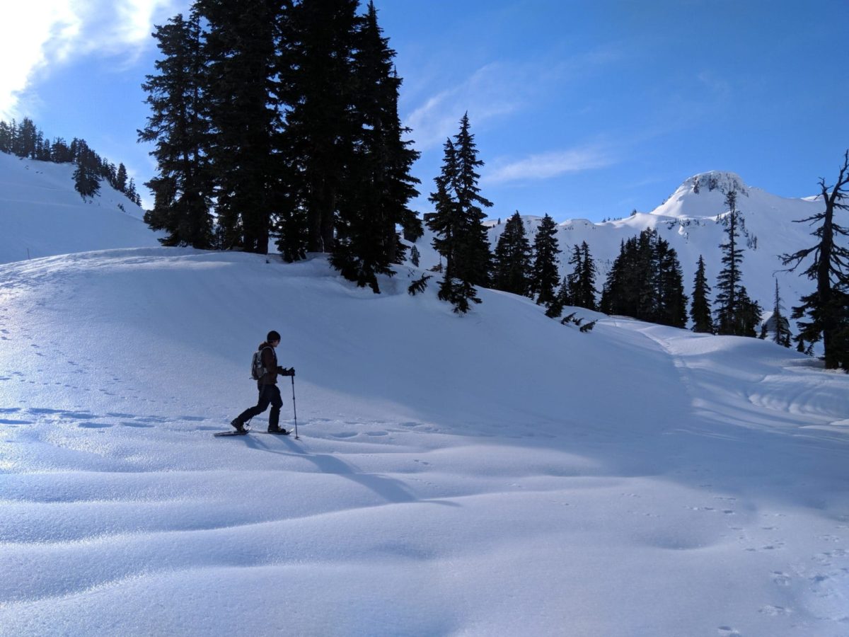 Snowshoeing to Artist Point at Mount Baker Explore
