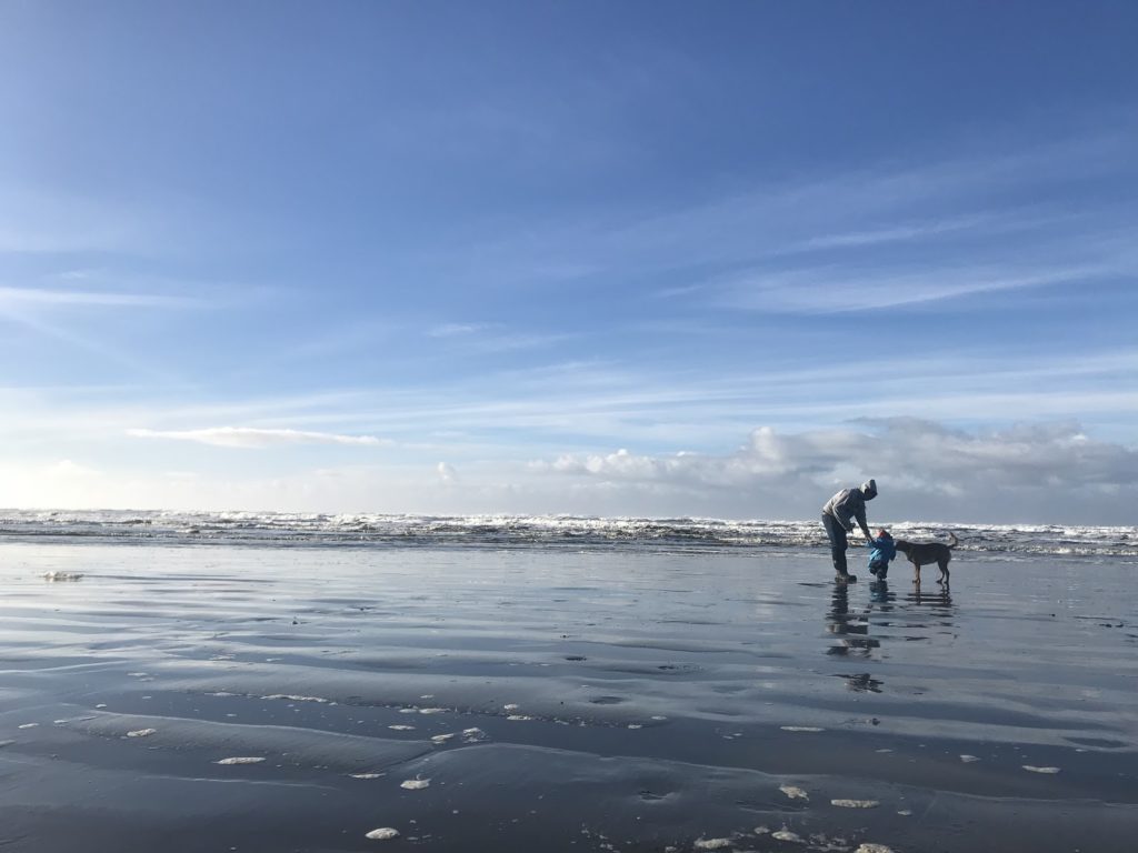 Clam digging in Washington state