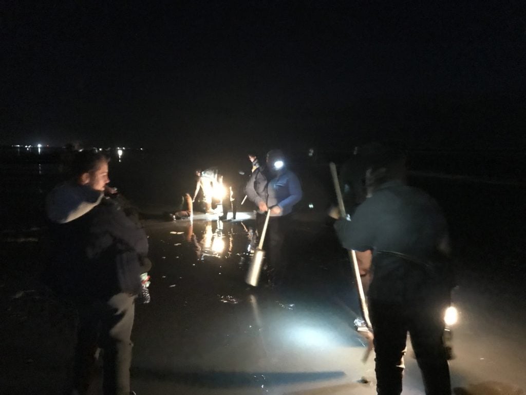 Clam digging in Washington state